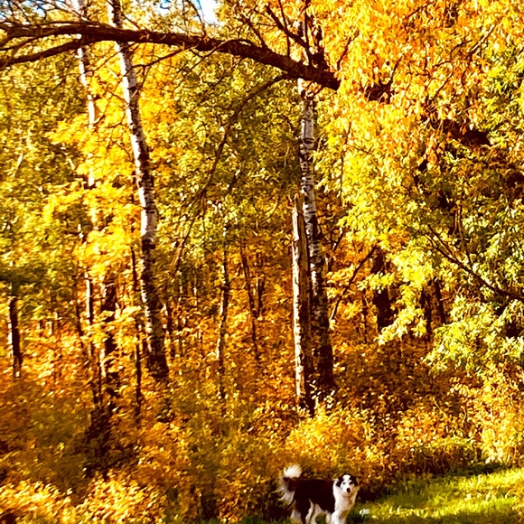 Meet your Posher, April - Picture 1 of 1